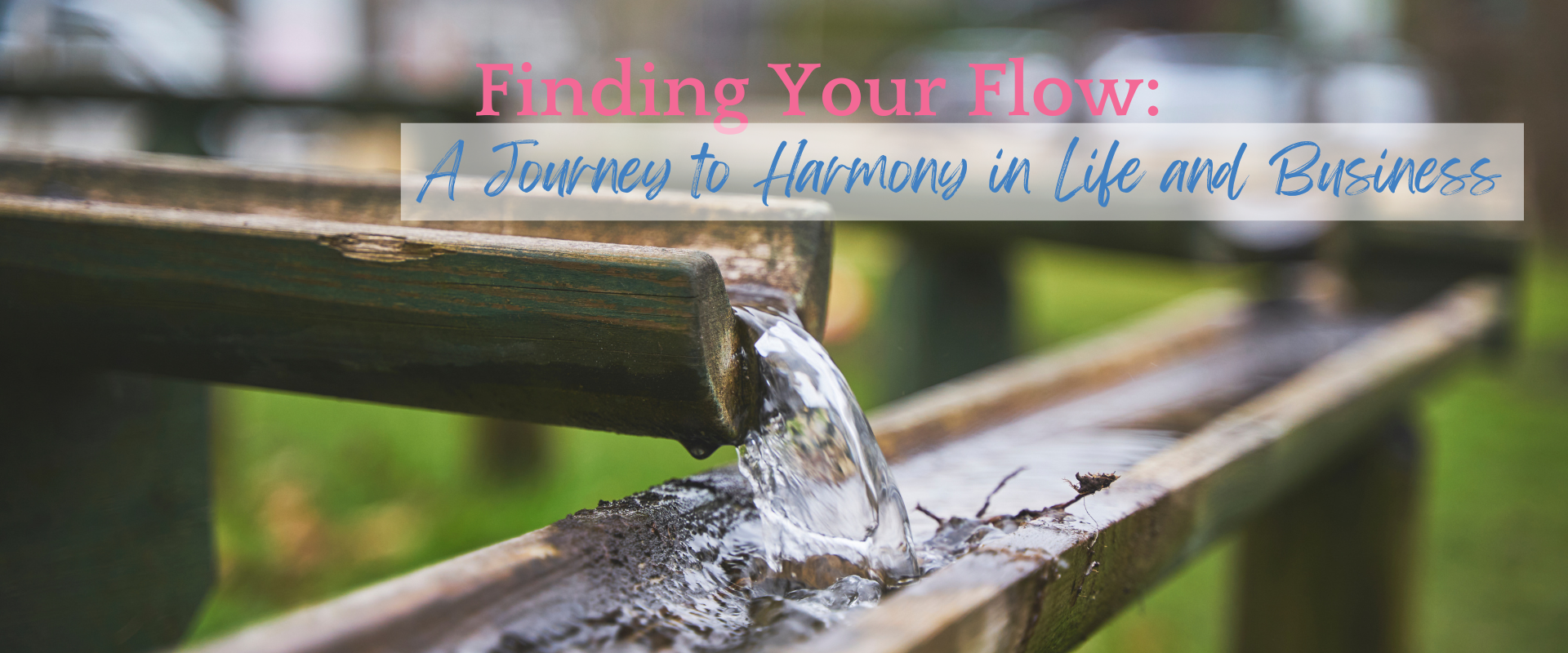 Finding Your Flow. A journey to harmony in life and business